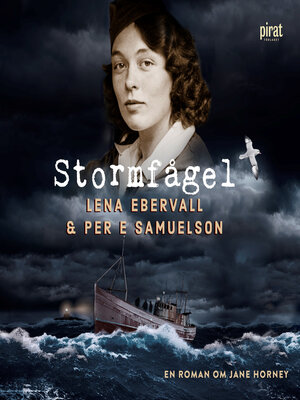 cover image of Stormfågel